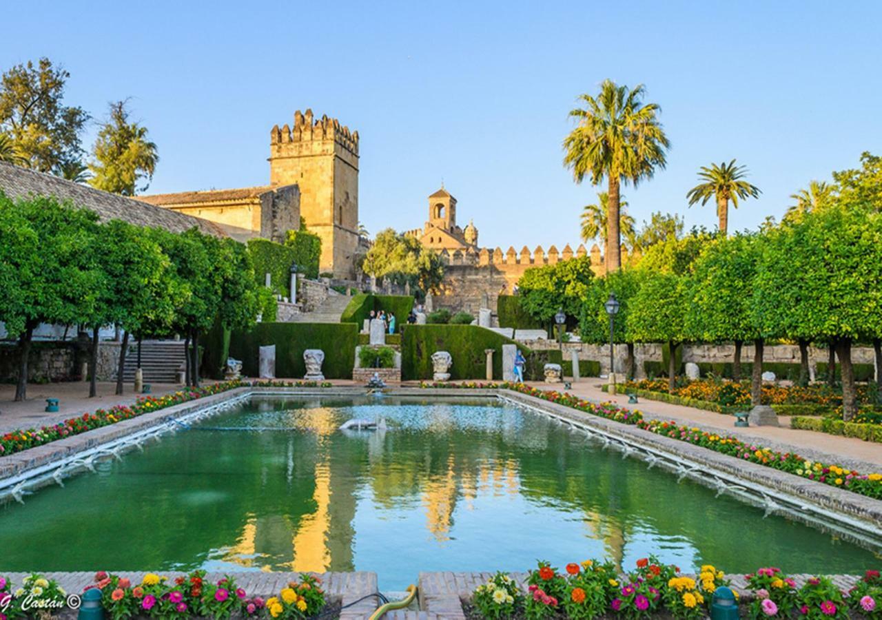 *New* Cerca De La Mezquita Lejlighed Córdoba Eksteriør billede